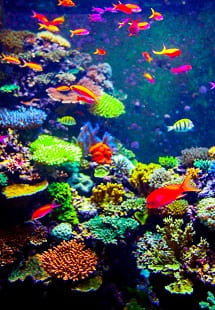 S.E.A. Aquarium Singapore